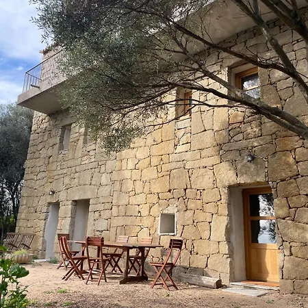 Proche Extreme Sud Corse Villa *